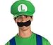 Deluxe Luigi Hat Adult (One Size)