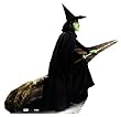 Wicked Witch of the West (The Wizard of Oz) Life-Size Standup Poster