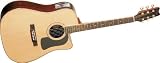 Washburn D10SCEDL Deluxe Cutaway Dreadnought Acoustic-Electric Guitar w/case (Standard)