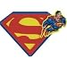 Search : Superman Returns Foam Kit