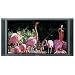 Pioneer PDP-505CMX 50-inch HD Plasma Display