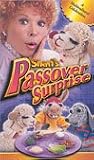 Shari s Passover Surprise