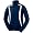Navy/White