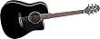 Jasmine by Takamine ES341C Acoustic Guitar Pack