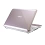 MSI U100-018US 10.1-Inch Pink Netbook - 3 Hour Battery Life