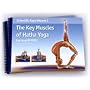 The Key Muscles of Hatha Yoga