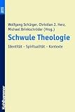 Schwule Theologie. Identit�t - Spiritualit�t - Kontexte - Christian J. Herz