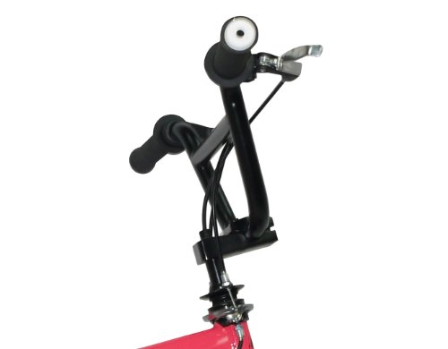 Rooster Big Momma Spoke 2011 Girl's BMX Bike - Neon Pink, 20 Inch