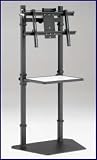 FPS-72 Fixed Plasma Stand