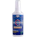 Second Wind Oxygen Energy Oral Spray Mint 2 Ounces