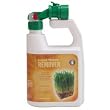 Thatch Remover Hose-End Sprayer 32 oz.