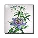 Passion Flower - flower, passion vine, passion flower, purple, nature, passiflora, easter - 6 Inch Glass Tile
