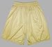 Dodger674 Nylon Tricot Mesh X-Long Shorts, Adult