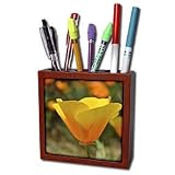 Patricia Sanders Flowers - yellow and orange poppy - Tile Pen Holders-5 inch tile pen holder