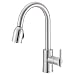 Danze D457058SS Parma Single-Handle Kitchen Faucet with Pull-Down Spout, Stainless Steel