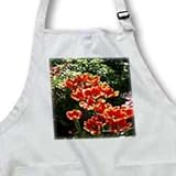IMAGE OF Vibrant Orange Tulip Flowers - Photography Flowers - Full Length Apron With Pockets 22w X 30l