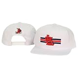 MLB Teams Retro White Flat Bill Snap Back Adjustable Baseball Hat - St. Louis Cardinals