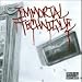 Immortal Technique-Revolutionary, Vol. 2 [Vinyl]