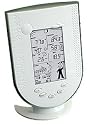 P3 International E9250 Professional Wireless Weather Station Metric Units