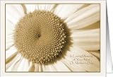 In Loving Memory of Your Mom on Mothers Day Paper Greeting Cards Card