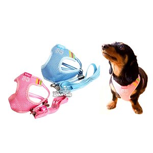 Sports Style Mesh Dog Vest Harness & Leash Set - Medium (15