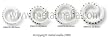 WHITE HORN SPIRALS WITH BLACK STRIPE DESIGN INLAY SPBNST2- 2G