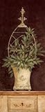  : Olive Topiary II by Pamela Gladding. Art Print Poster 12 inches width by 36 inches height. Highest Quality Art Poster Print