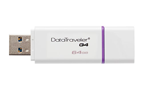 Kingston Digital 64GB Data Traveler 3.0 USB Flash Drive, Violet (DTIG4/64GBET)
