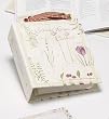 Refill Sleeves - 25 Pack- for All Meadowsweet Recipe Card Cookbooks