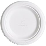 Eco-Products - Renewable & Compostable Sugarcane Plates - 6 inch Dinner Plate - (20 Packs of 50) EP-P016