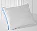 DreamSleep - Firm Bed Pillow Insert, Quilted Gusseted Edges (Queen Size, 2-Pack)