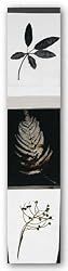 New IV by Ivan Reyes 12"x36" Art Print Poster