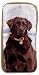 Chocolate Lab Needlepoint Eyeglass Case