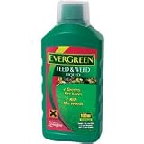 Review Levington  / Evergreen Feed & Weed Liquid 1Ltr