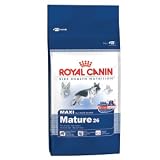 Royal Canin MAXI Mature 26