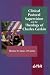 Clinical Pastoral Supervision and the Theology of Charles Gerkin (EdSR)