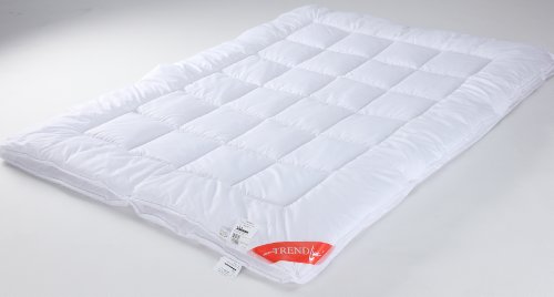 Badenia Bettcomfort 03753448143 4-Jahreszeiten-Steppbett Trendline Micro Kochfest 140 x 20 Preisvergleich