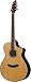 Breedlove  Atlas Stage C25/SR Acoustic-Electric Guitar