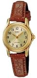 Casio Womens LTP1096Q-9B1 Brown Leather Quartz Watch with Gold Dial