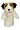 Jack Russell Terrier
