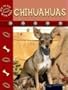 Chihuahuas (Eye to Eye with Dogs II)