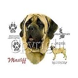 Mastiff Adult T-Shirt
