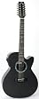RainSong WS3000 12-String Deep Body Cutaway Acoustic Electric Guitar