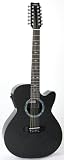 RainSong WS3000 12-String Deep Body Cutaway Acoustic Electric Guitar