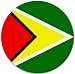 Guyana Flag Round Mouse Pad