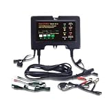 BatteryMINDer Charger/Maintainer/Desulfater - 12V, Model# 2012