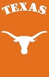 Texas Longhorns Applique Banner Flag - B0000AX9J6
