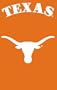 Texas Longhorns Applique Banner Flag