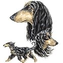*afghan Hound Womens Scoop Neck T-Shirt