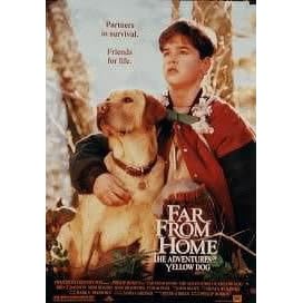 FAR FROM HOME 1994 Mimi Rogers US 1-SHEET POSTER